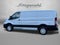 2024 Ford Transit Cargo Van T250 RWD LOW RF
