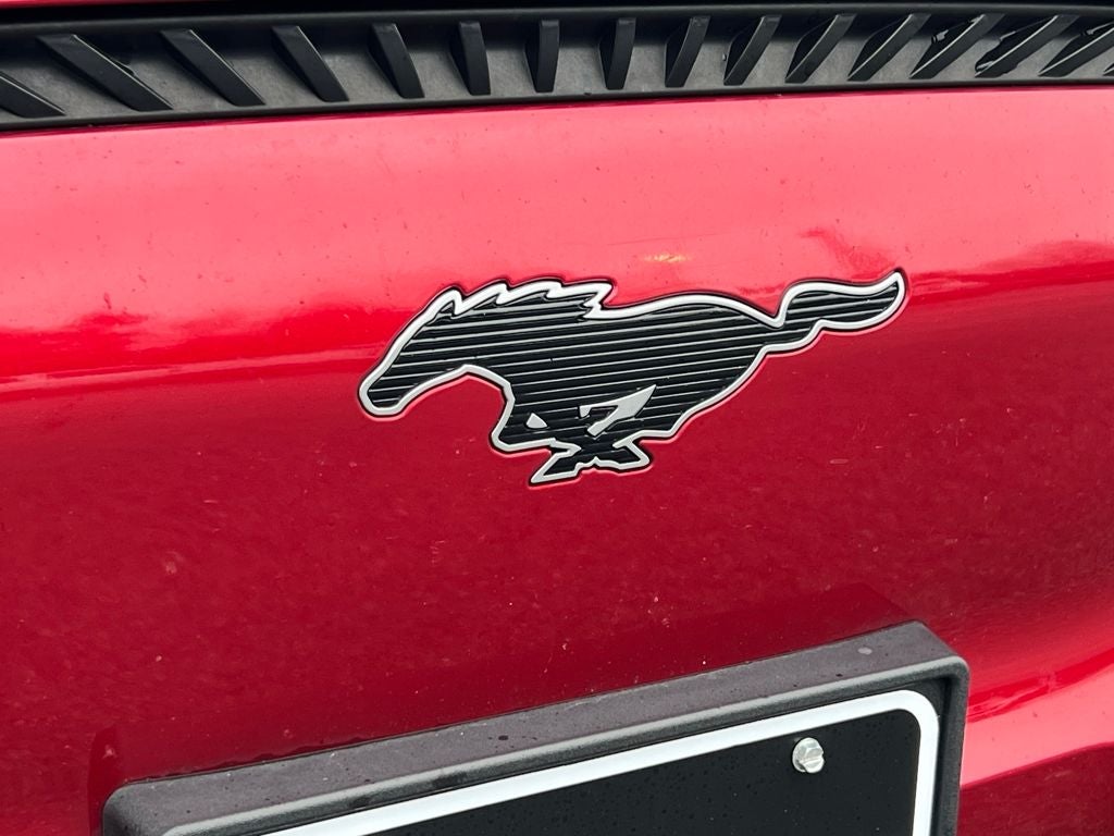 2021 Ford Mustang Mach-E Select